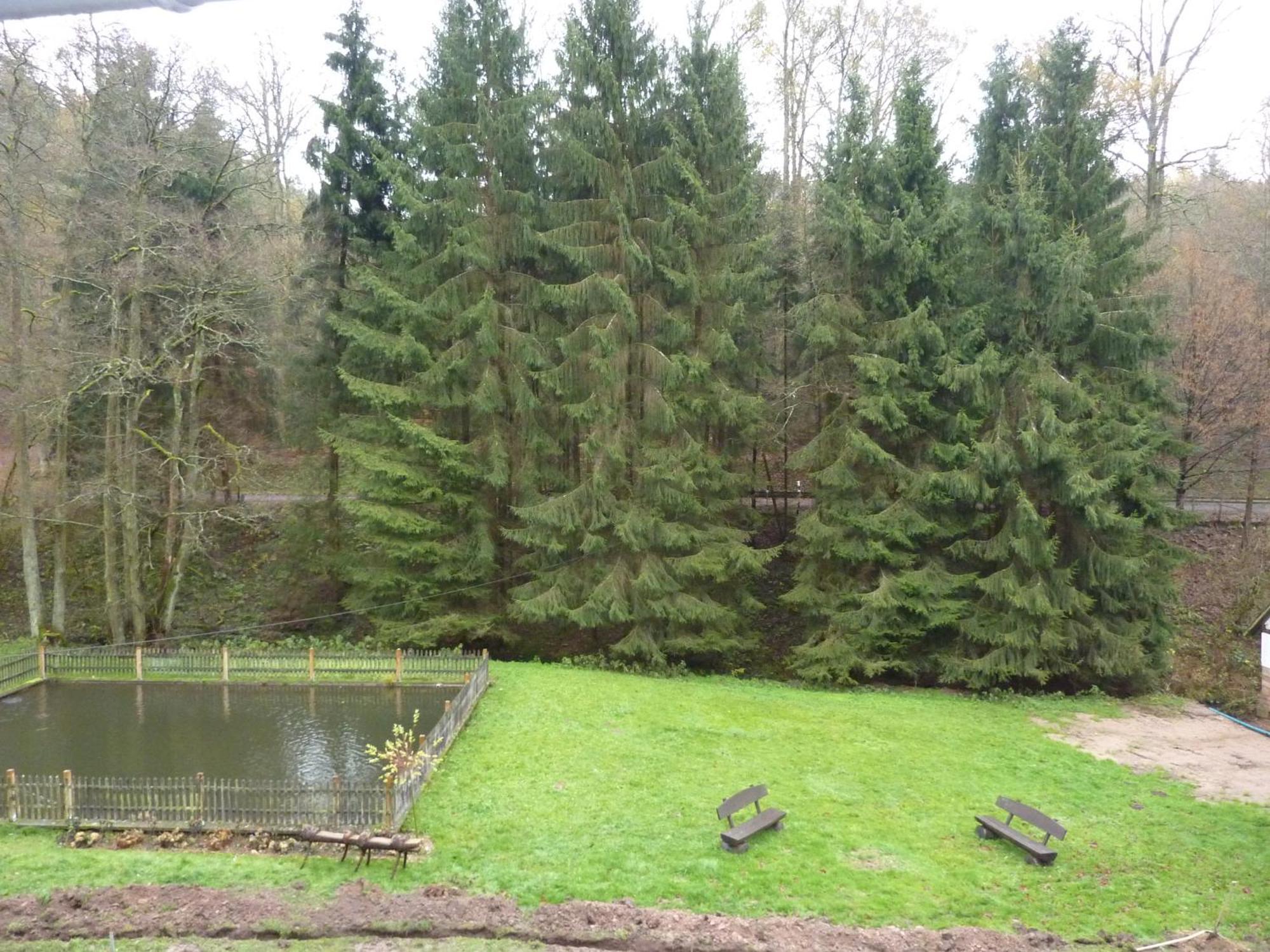 Hof Guttels Waldgasthof Ferienpension Rotenburg an der Fulda Bilik gambar